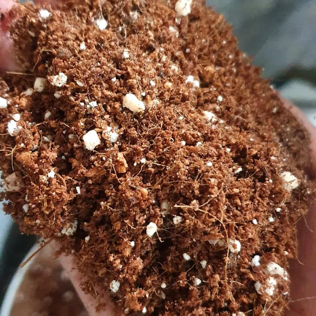 Coir Perlite Mix (real)