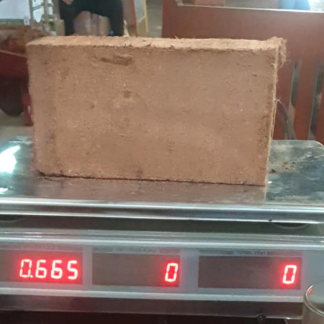 Coir Block 650g (real)